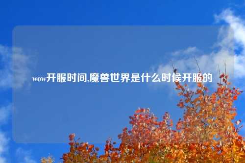 wow开服时间,魔兽世界是什么时候开服的