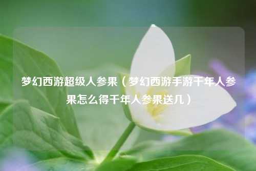 梦幻西游超级人参果（梦幻西游手游千年人参果怎么得千年人参果送几）