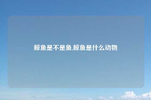 鲸鱼是不是鱼,鲸鱼是什么动物