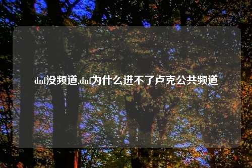 dnf没频道,dnf为什么进不了卢克公共频道