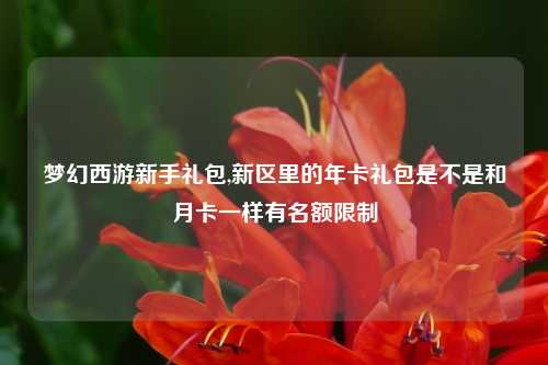 梦幻西游新手礼包,新区里的年卡礼包是不是和月卡一样有名额限制