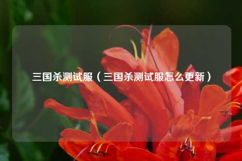 三国杀测试服（三国杀测试服怎么更新）