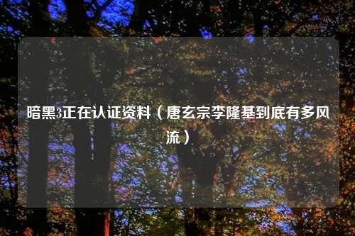 暗黑3正在认证资料(唐玄宗李隆基到底有多风流)