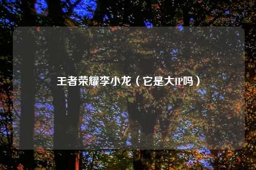 王者荣耀李小龙（它是大IP吗）