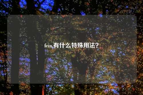 fein,有什么特殊用法？