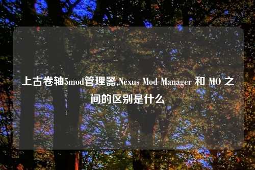 上古卷轴5mod管理器,Nexus Mod Manager 和 MO 之间的区别是什么