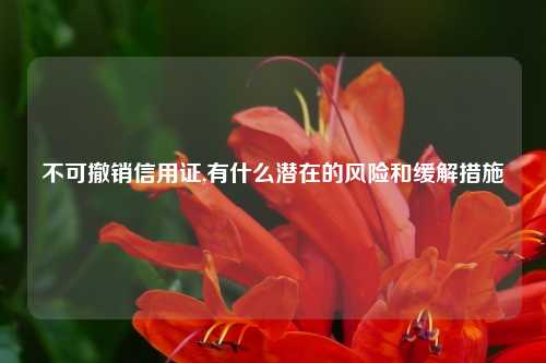 不可撤销信用证,有什么潜在的风险和缓解措施