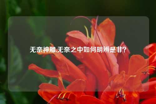 无奈神雕,无奈之中如何明辨是非？