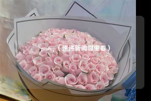 gearup(速递新闻哪里看)