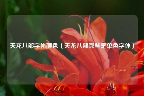 天龙八部字体颜色(天龙八部哪些是单色字体)