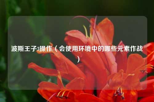 波斯王子3操作(会使用环境中的哪些元素作战)