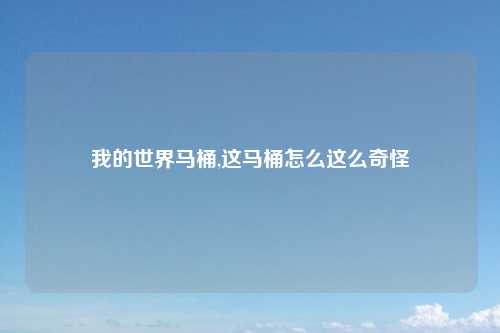 我的世界马桶,这马桶怎么这么奇怪