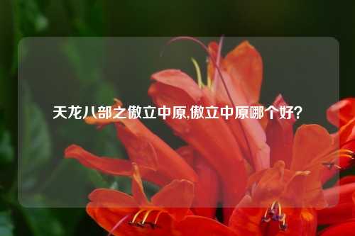 天龙八部之傲立中原,傲立中原哪个好？