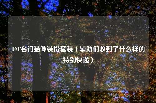 DNF名门猫咪装扮套装(辅助们收到了什么样的特别快递)