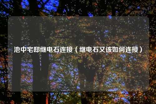 池中宅邸继电石连接（继电石又该如何连接）