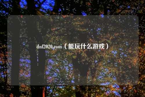 dnf2020.com(能玩什么游戏)