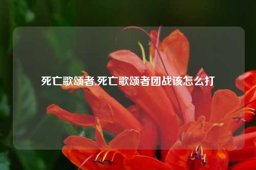 死亡歌颂者,死亡歌颂者团战该怎么打