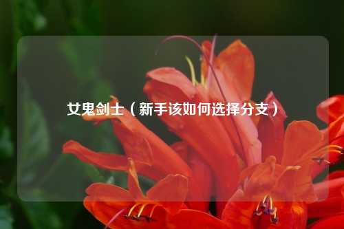 女鬼剑士(新手该如何选择分支)