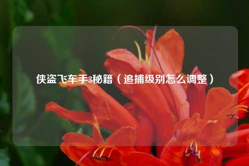 侠盗飞车手3秘籍(追捕级别怎么调整)