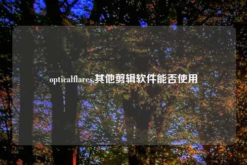 opticalflares,其他剪辑软件能否使用