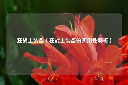 狂战士装备(狂战士装备的实用性解析)
