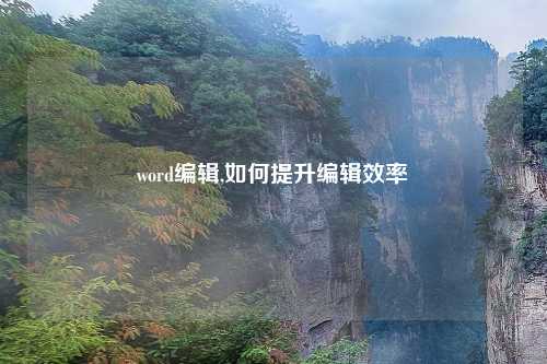 word编辑,如何提升编辑效率