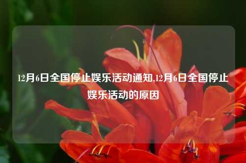 12月6日全国停止娱乐活动通知,12月6日全国停止娱乐活动的原因