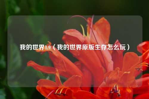 我的世界1.9（我的世界原版生存怎么玩）