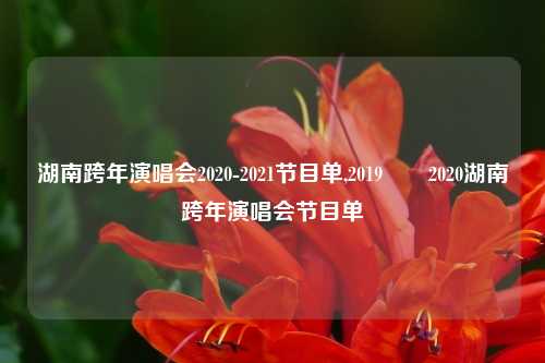 湖南跨年演唱会2020-2021节目单,2019――2020湖南跨年演唱会节目单