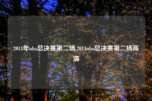 2014年nba总决赛第二场,2014nba总决赛第二场高清