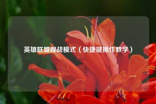 英雄联盟观战模式（快捷键操作教学）