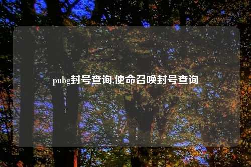 pubg封号查询,使命召唤封号查询