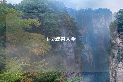 lr灵魂兽大全