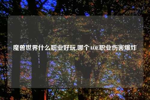 魔兽世界什么职业好玩,哪个AOE职业伤害爆炸