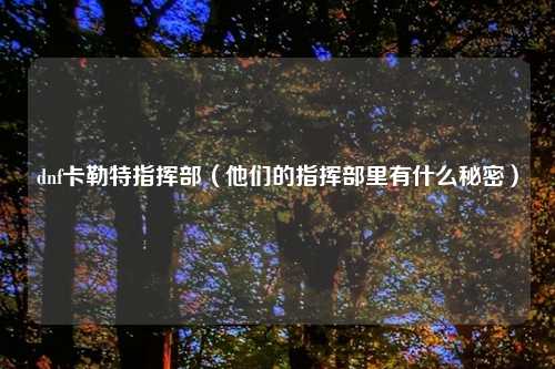 dnf卡勒特指挥部（他们的指挥部里有什么秘密）