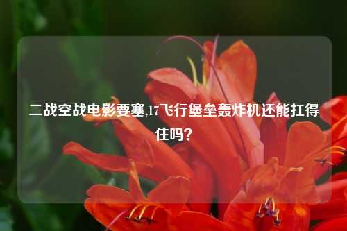 二战空战电影要塞,17飞行堡垒轰炸机还能扛得住吗？