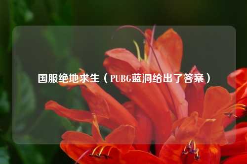 国服绝地求生（PUBG蓝洞给出了答案）