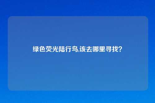 绿色荧光陆行鸟,该去哪里寻找？