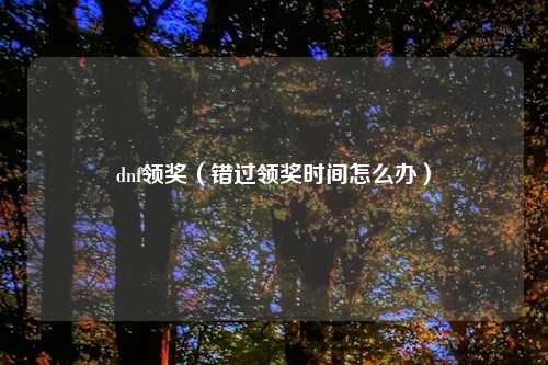 dnf领奖（错过领奖时间怎么办）