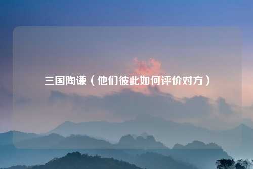 三国陶谦（他们彼此如何评价对方）