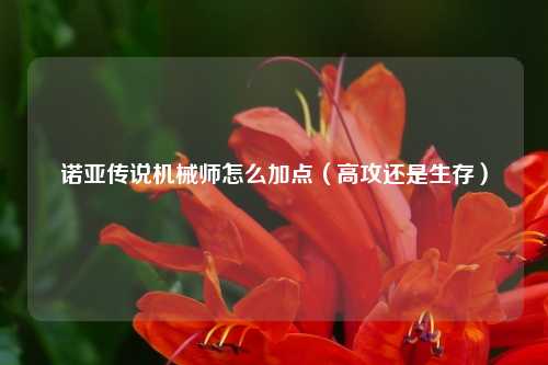 诺亚传说机械师怎么加点（高攻还是生存）