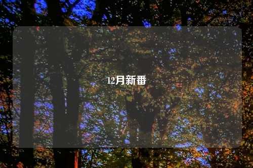 12月新番