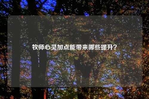 牧师心灵加点能带来哪些提升？
