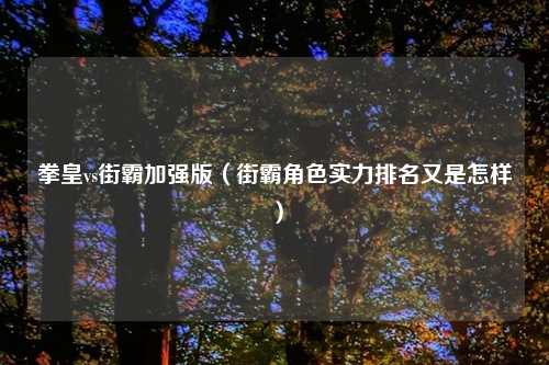 拳皇vs街霸加强版（街霸角色实力排名又是怎样）