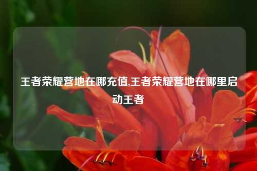 王者荣耀营地在哪充值,王者荣耀营地在哪里启动王者