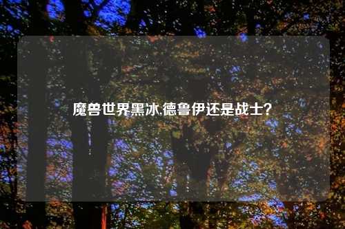 魔兽世界黑冰,德鲁伊还是战士？