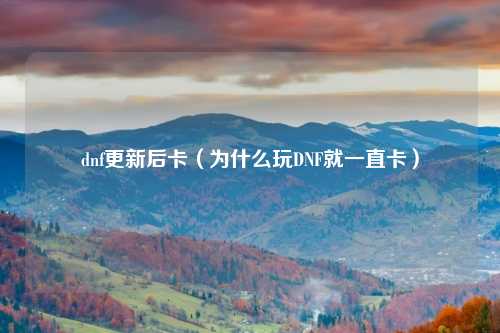 dnf更新后卡（为什么玩DNF就一直卡）