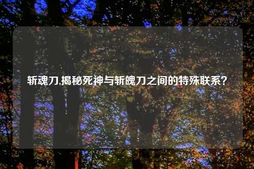 斩魂刀,揭秘死神与斩魄刀之间的特殊联系？