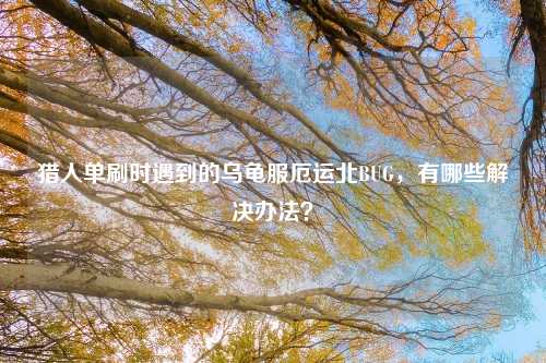 猎人单刷时遇到的乌龟服厄运北BUG，有哪些解决办法？