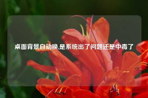 桌面背景自动换,是系统出了问题还是中毒了